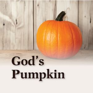 Tract: God's Pumpkin (Package of 10)